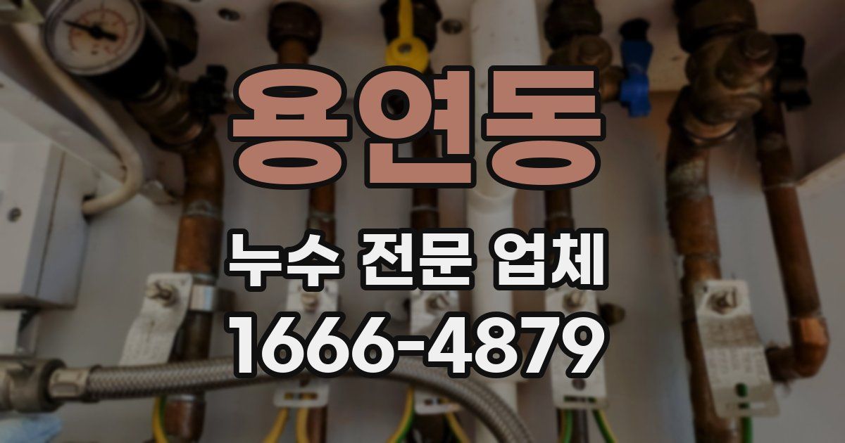 용연동 누수 전문 업체