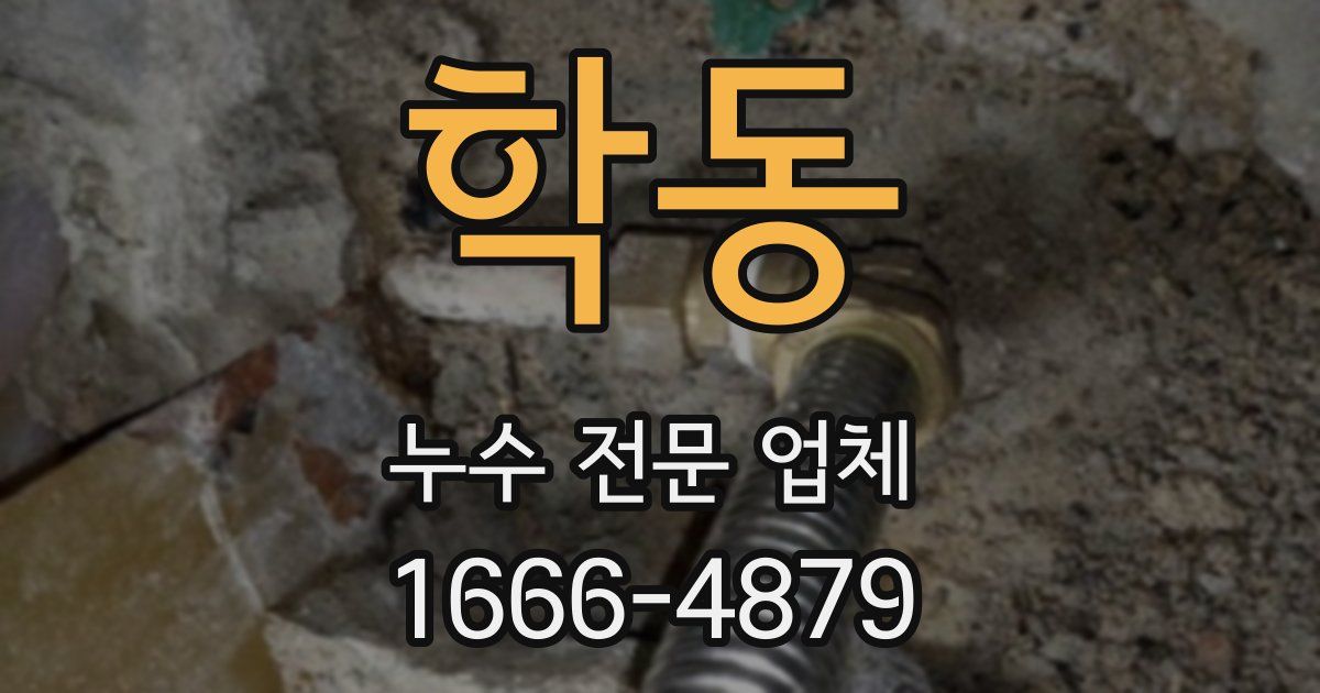 학동 누수 전문 업체