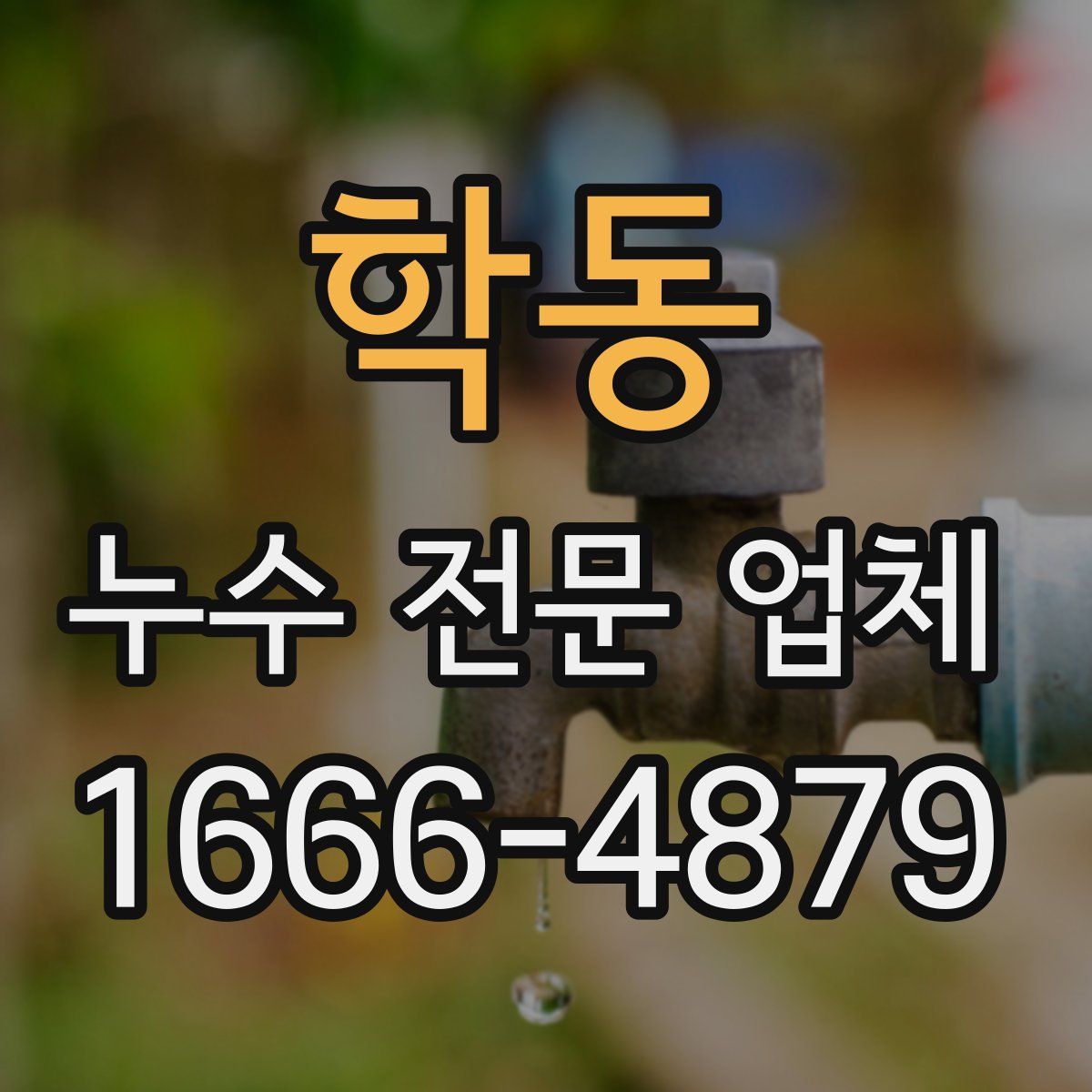 학동 누수 전문 업체