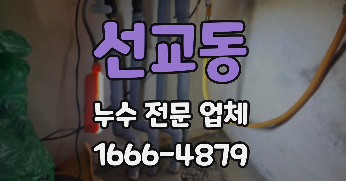 선교동 누수 전문 업체