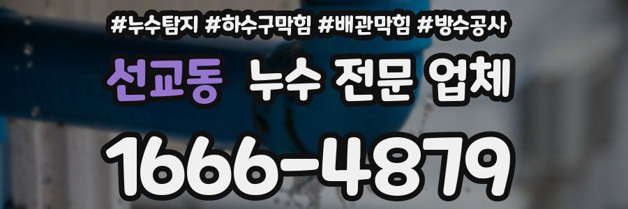 선교동 누수 전문 업체