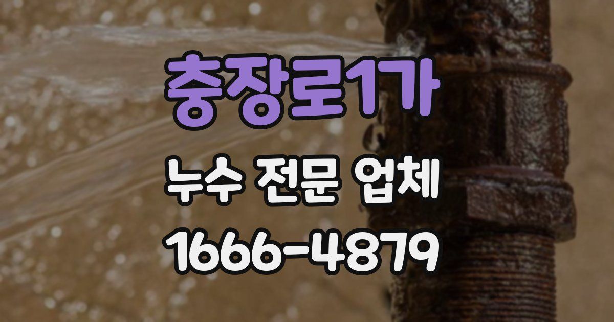 충장로1가 누수 전문 업체