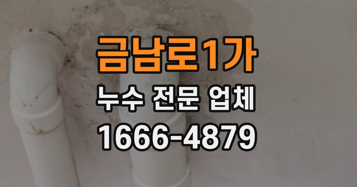 금남로1가 누수 전문 업체