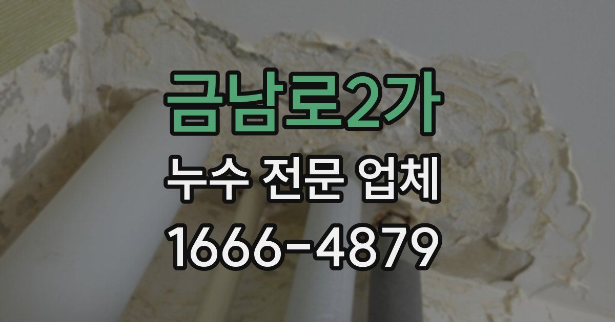 금남로2가 누수 전문 업체