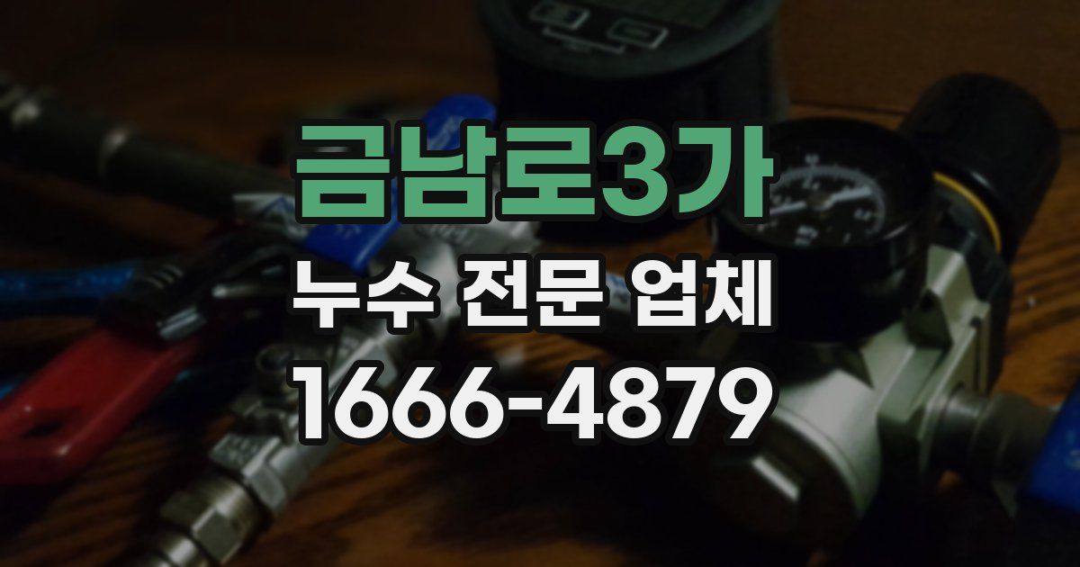 금남로3가 누수 전문 업체