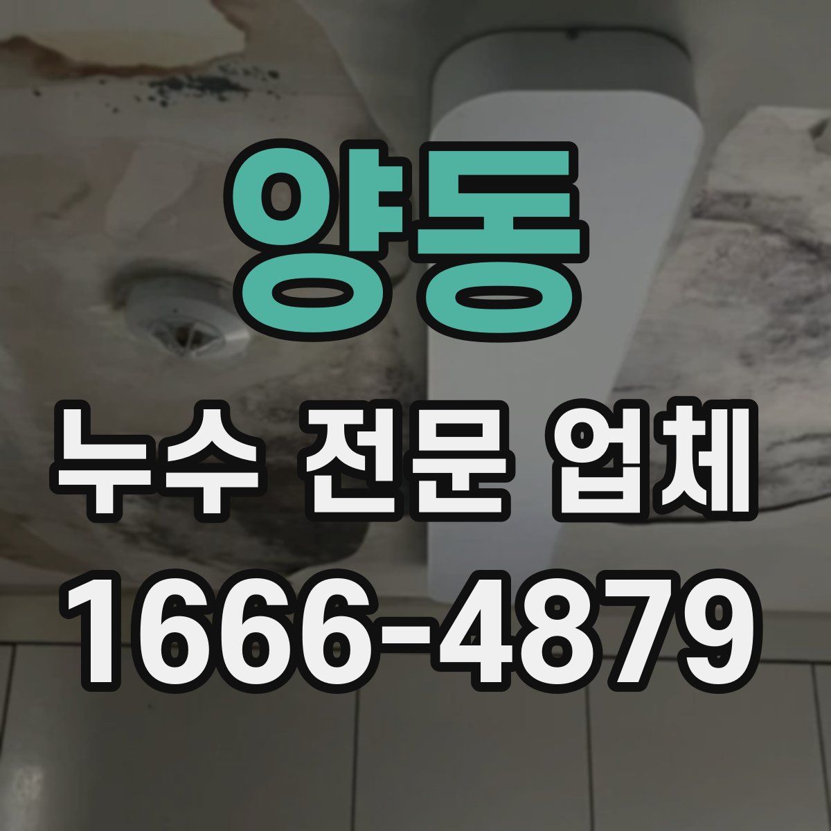 양동 누수 전문 업체
