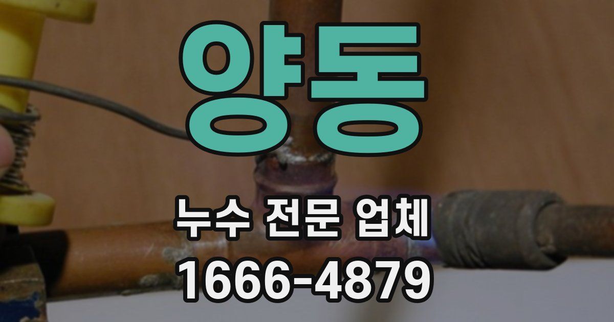양동 누수 전문 업체