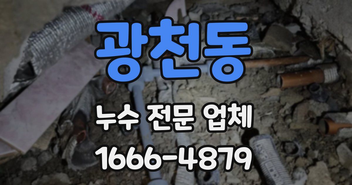 광천동 누수 전문 업체