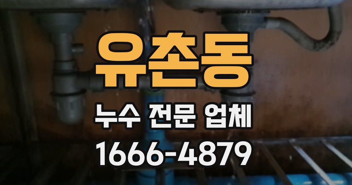 유촌동 누수 전문 업체