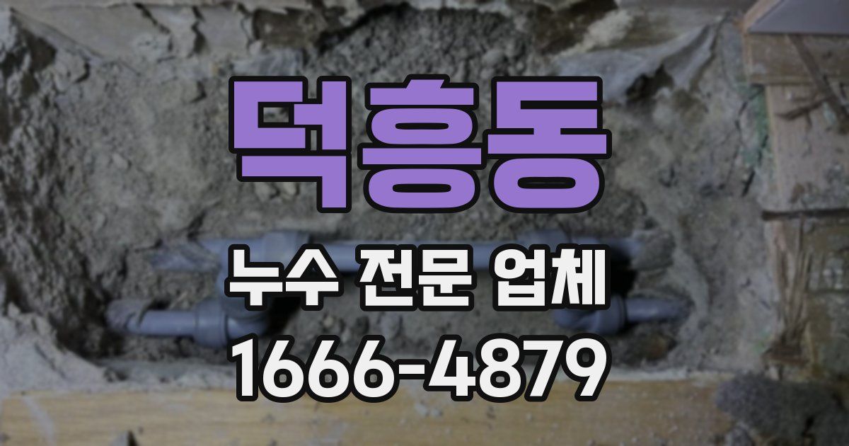 덕흥동 누수 전문 업체