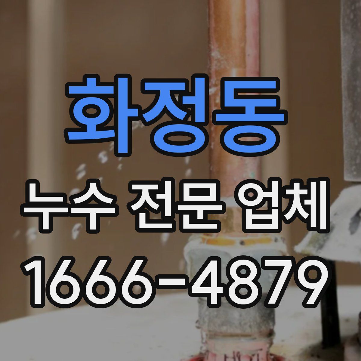 화정동 누수 전문 업체
