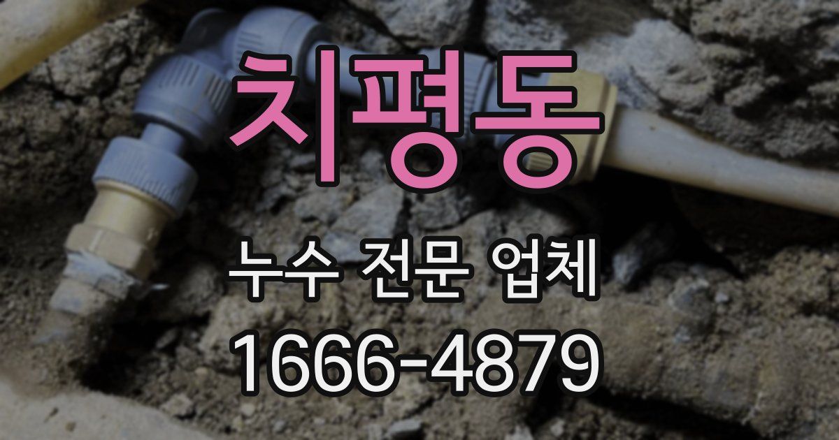 치평동 누수 전문 업체