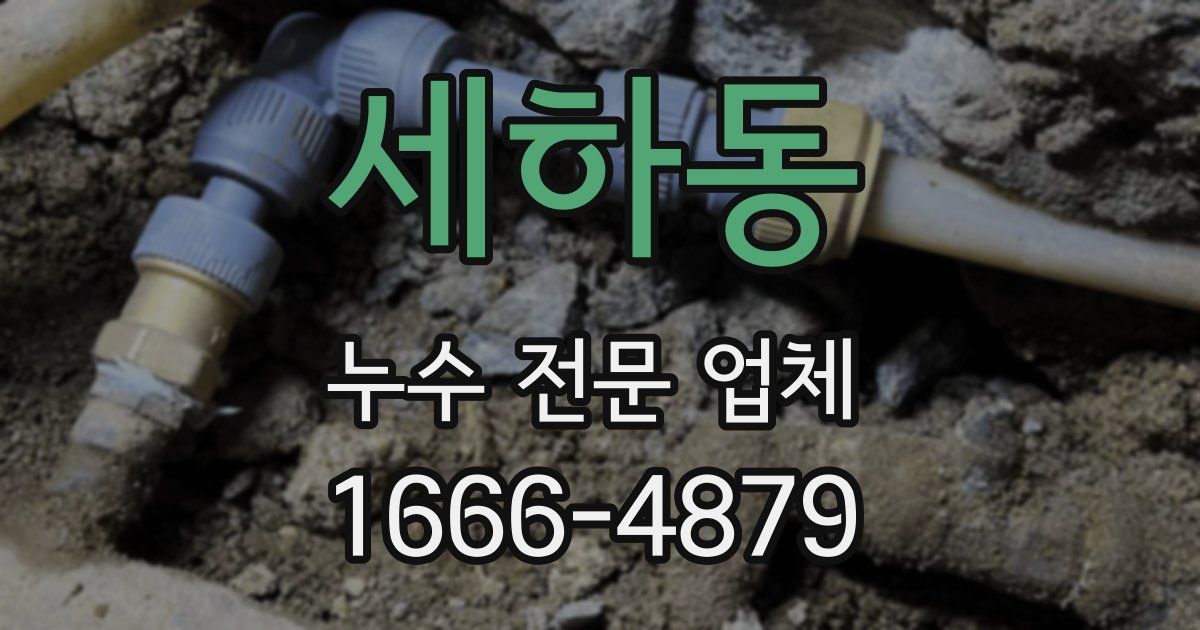 세하동 누수 전문 업체