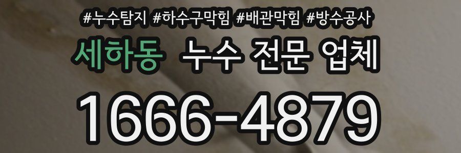 세하동 누수 전문 업체
