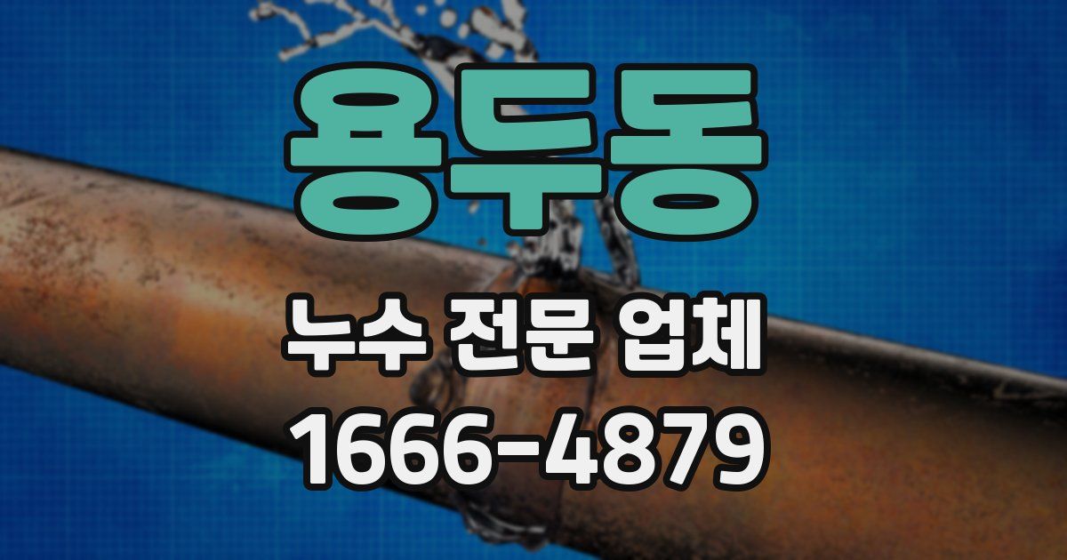 용두동 누수 전문 업체