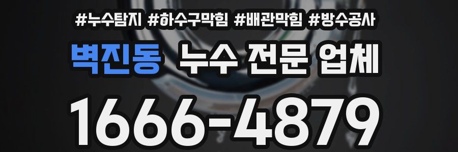 벽진동 누수 전문 업체