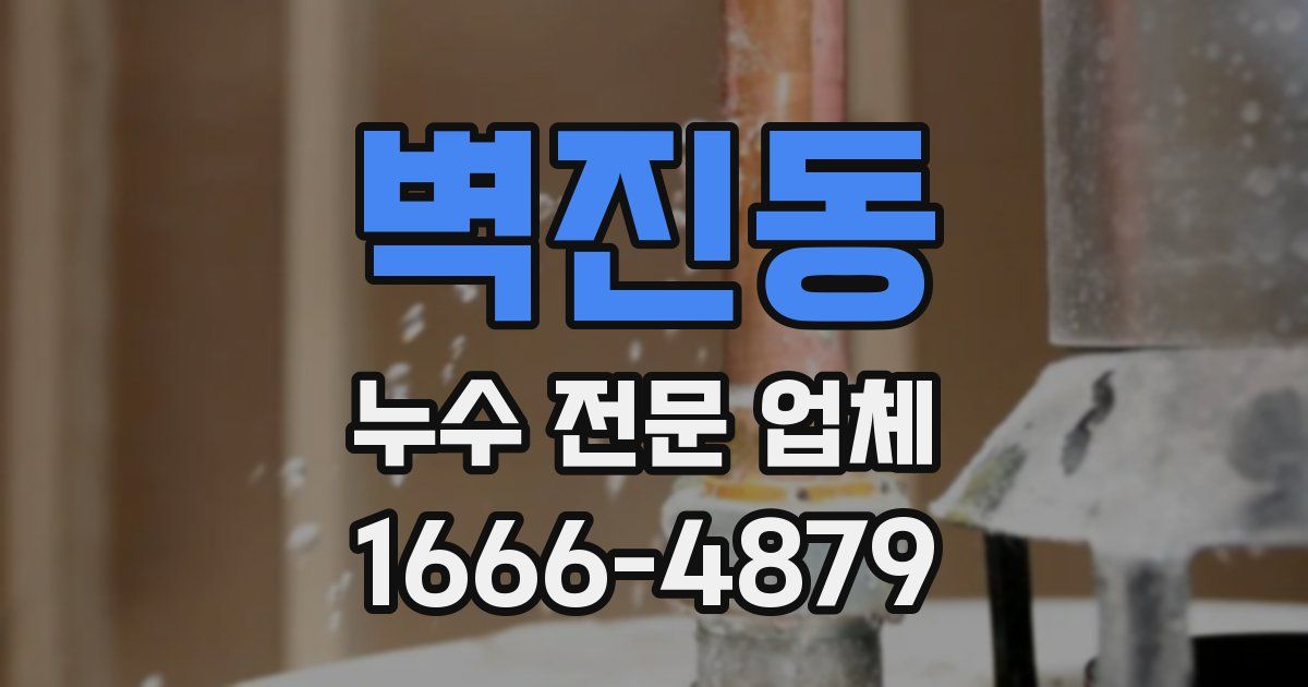 벽진동 누수 전문 업체