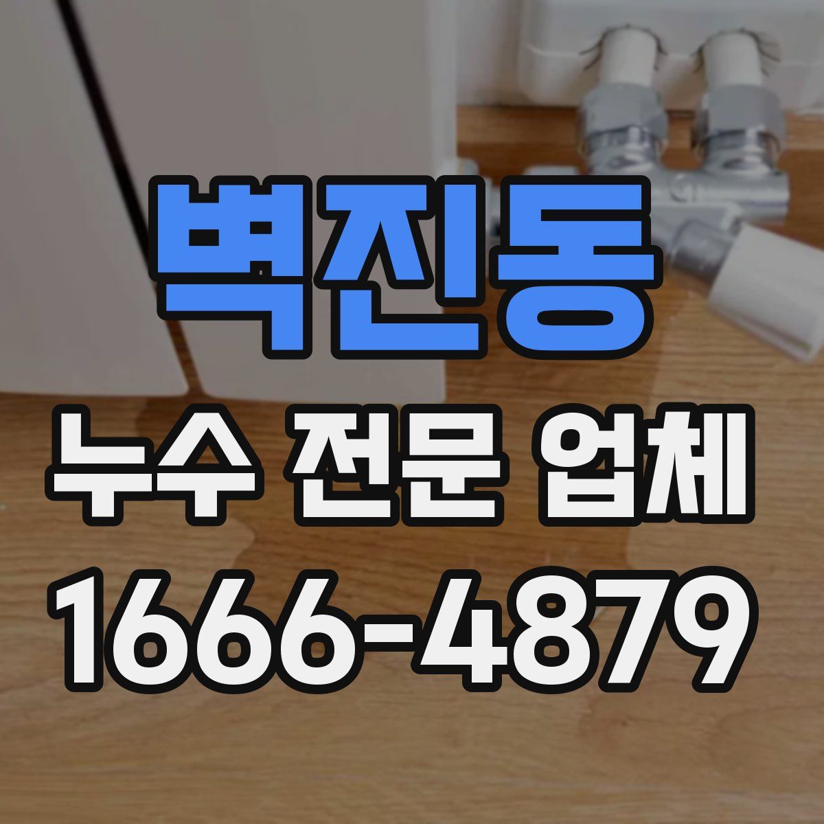 벽진동 누수 전문 업체