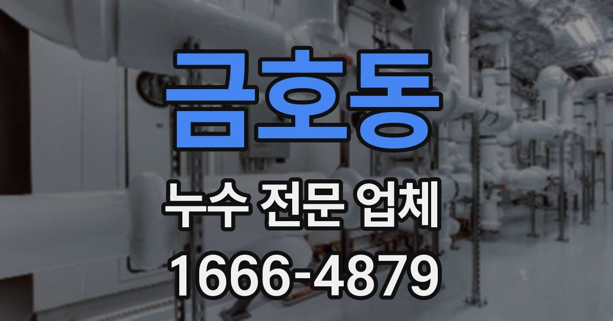금호동 누수 전문 업체