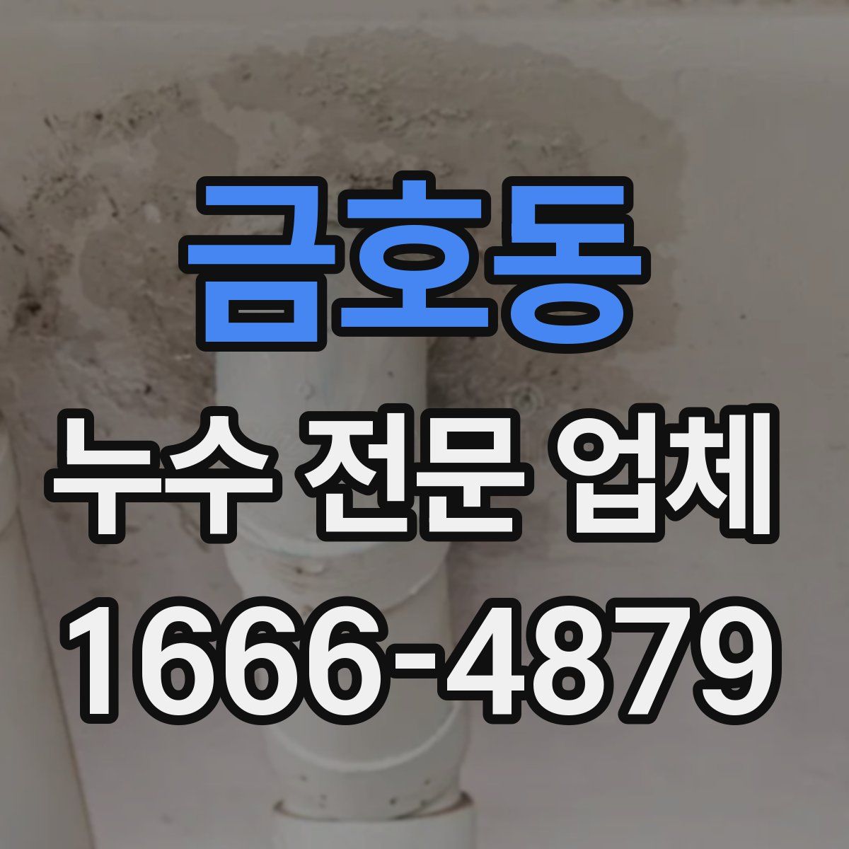 금호동 누수 전문 업체