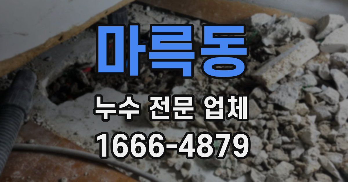 마륵동 누수 전문 업체