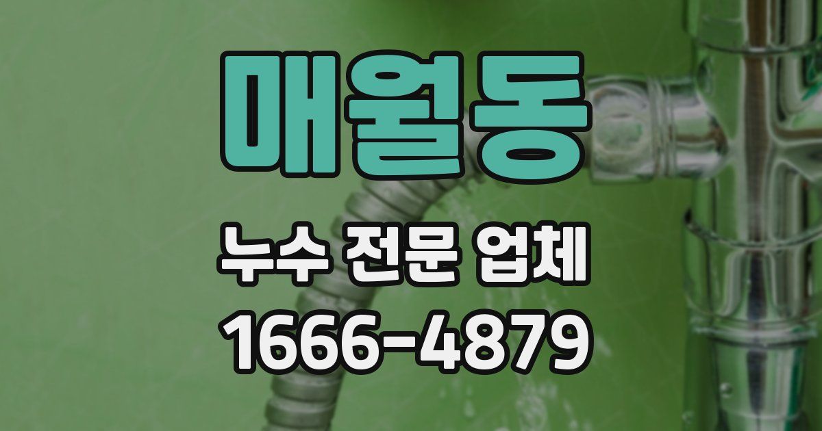 매월동 누수 전문 업체