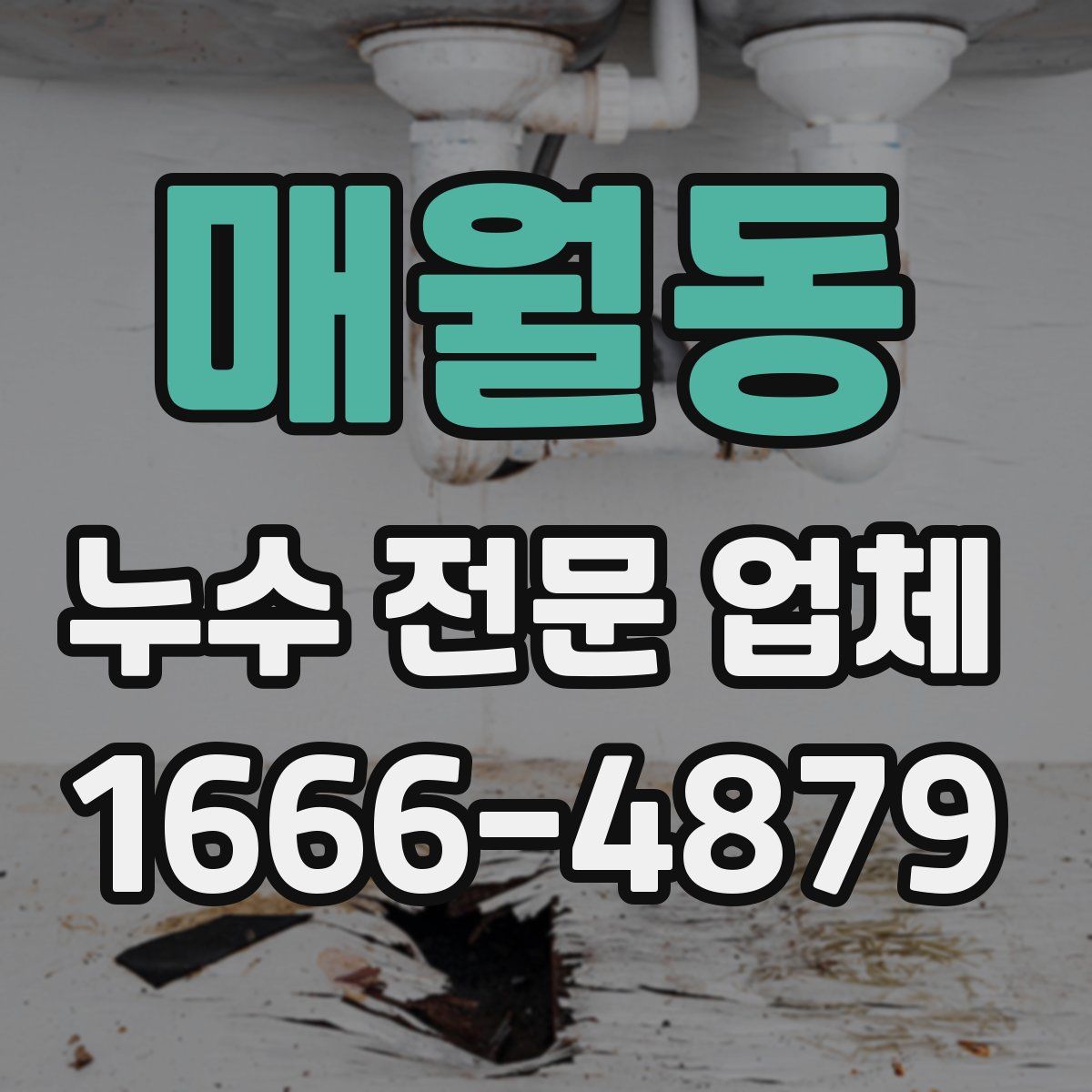 매월동 누수 전문 업체