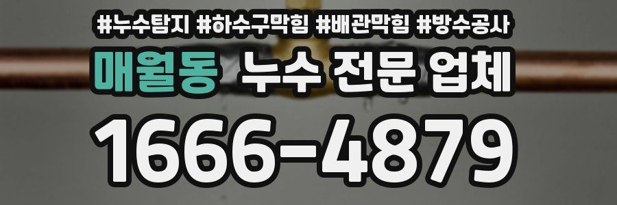 매월동 누수 전문 업체