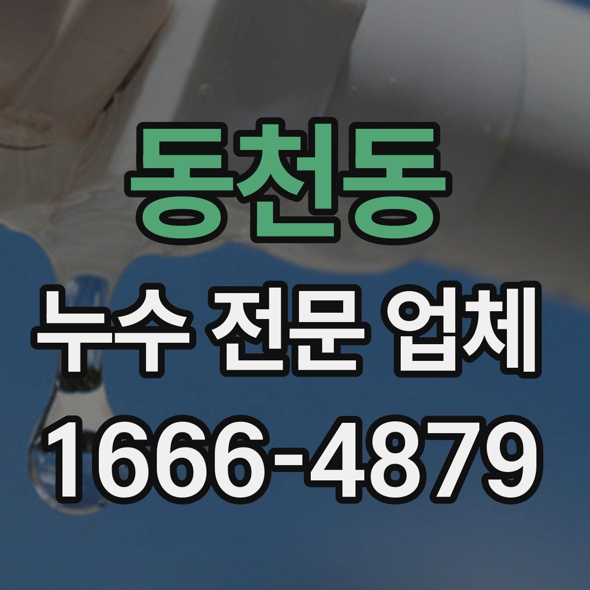 동천동 누수 전문 업체