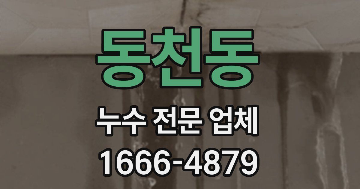 동천동 누수 전문 업체