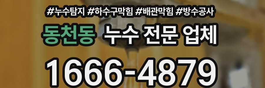 동천동 누수 전문 업체