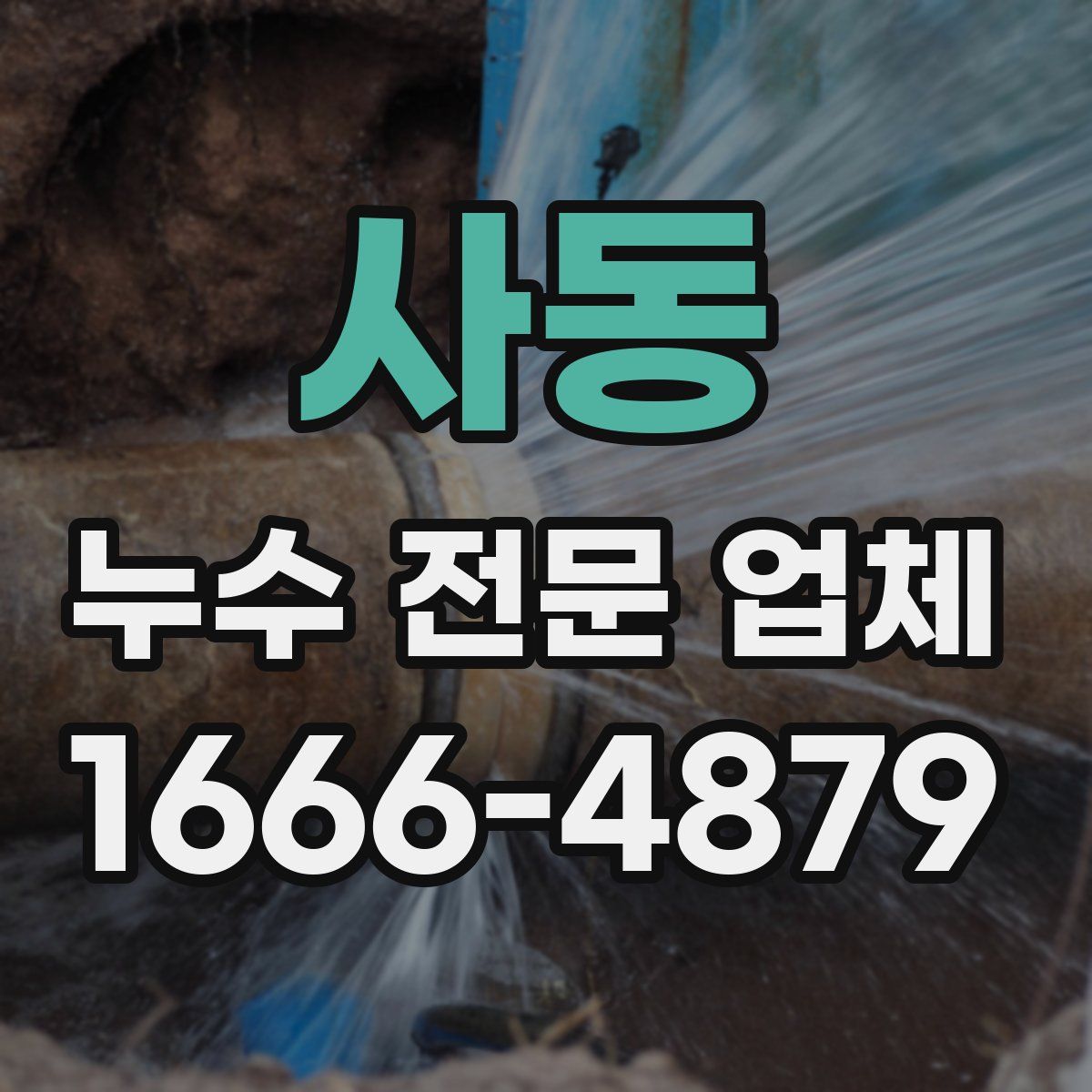 사동 누수 전문 업체