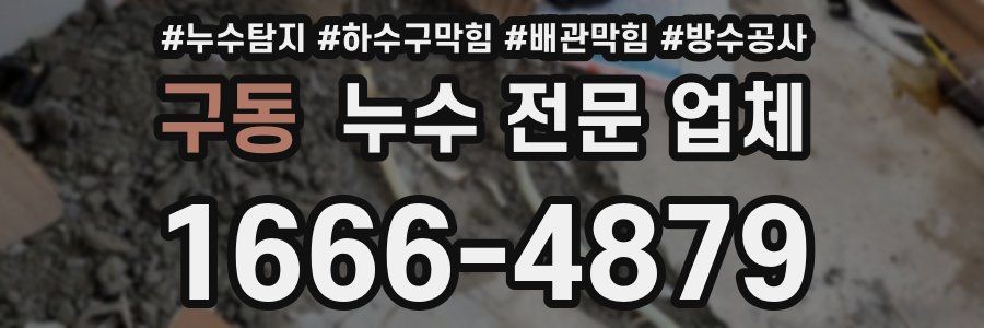 구동 누수 전문 업체