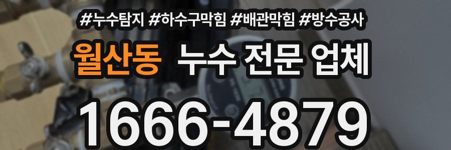 월산동 누수 전문 업체