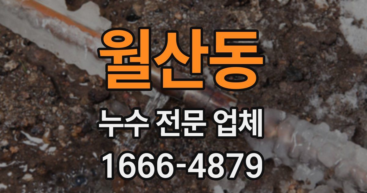 월산동 누수 전문 업체