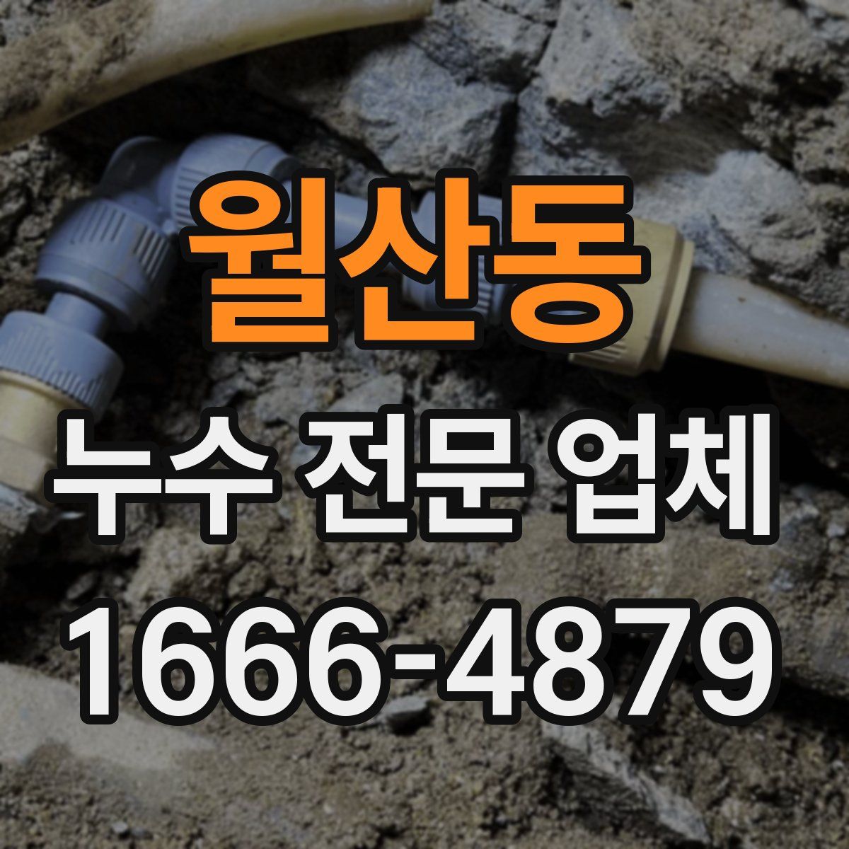 월산동 누수 전문 업체