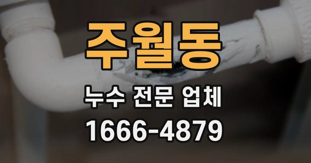 주월동 누수 전문 업체