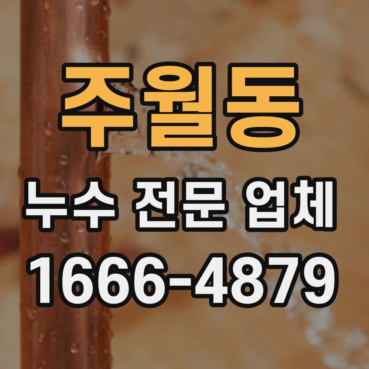 주월동 누수 전문 업체