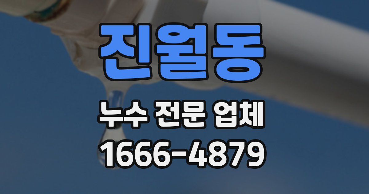 진월동 누수 전문 업체