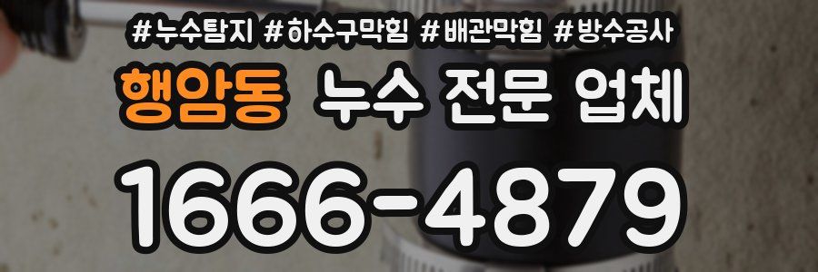 행암동 누수 전문 업체
