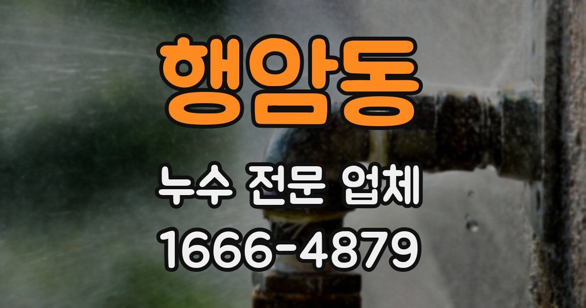 행암동 누수 전문 업체
