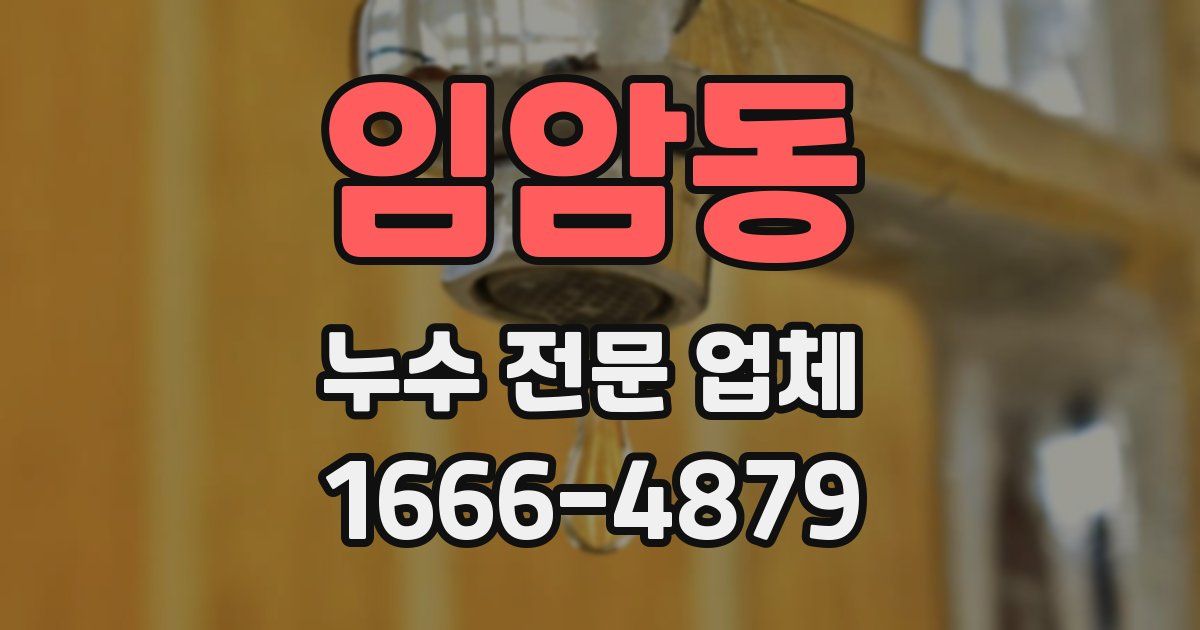 임암동 누수 전문 업체