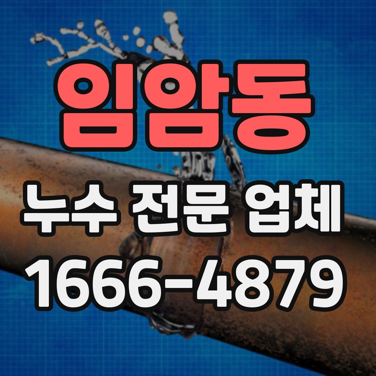 임암동 누수 전문 업체