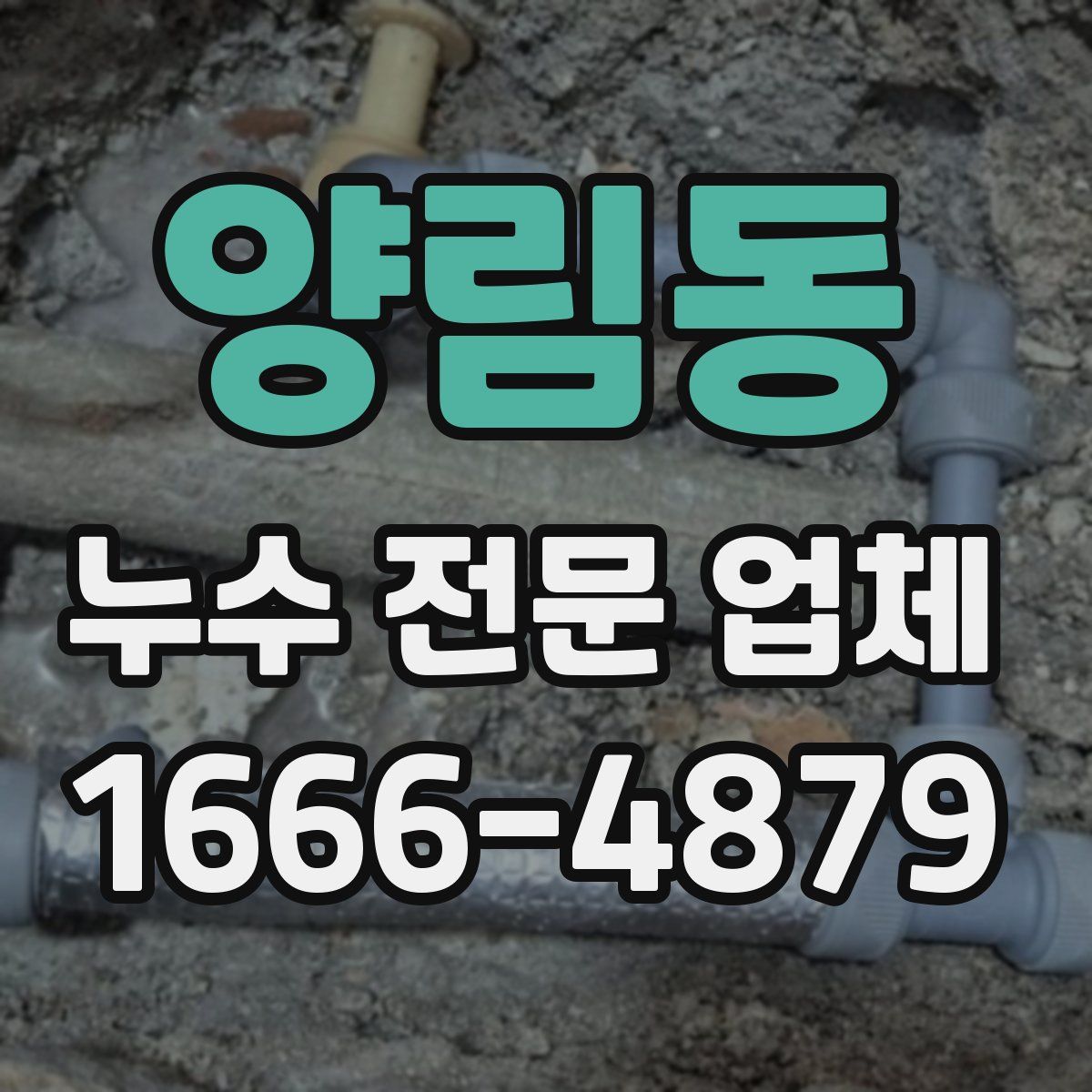 양림동 누수 전문 업체