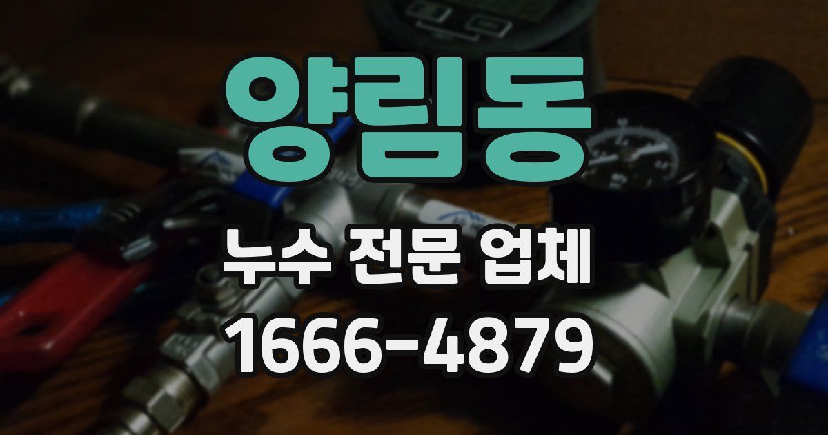 양림동 누수 전문 업체
