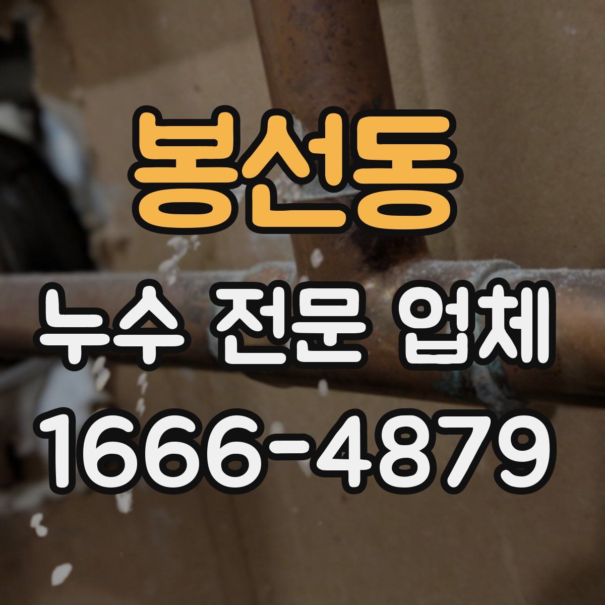 봉선동 누수 전문 업체
