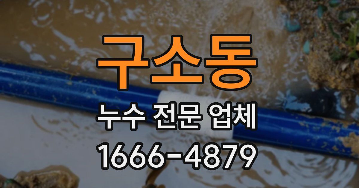 구소동 누수 전문 업체