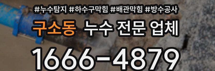 구소동 누수 전문 업체