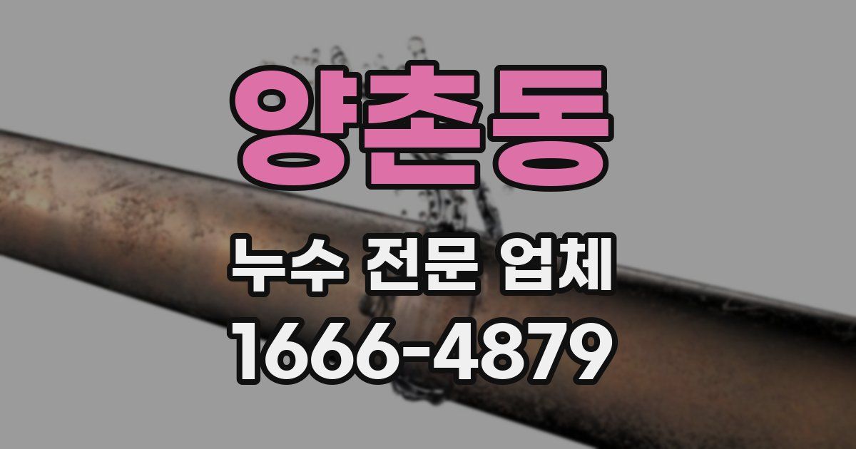 양촌동 누수 전문 업체