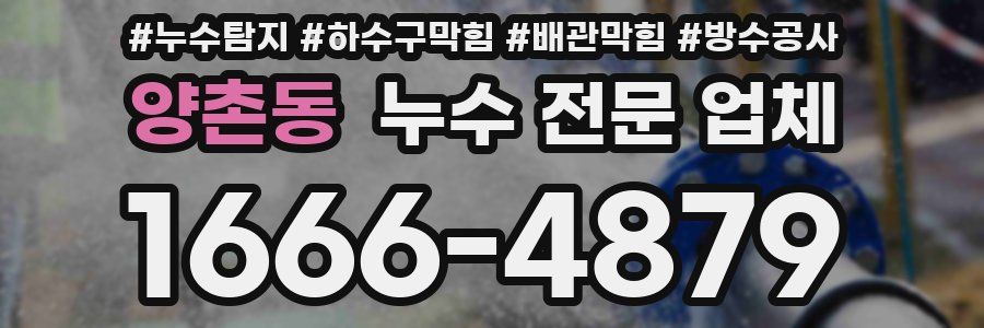 양촌동 누수 전문 업체